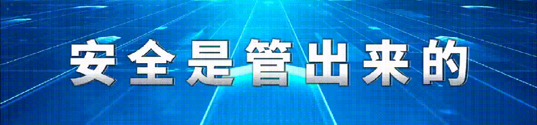 图文裁剪丨陈雪琼