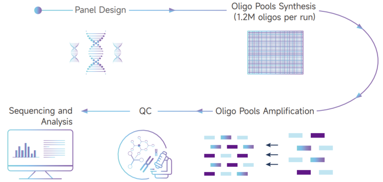 　　图1. 高通量Oligo合成工作流程