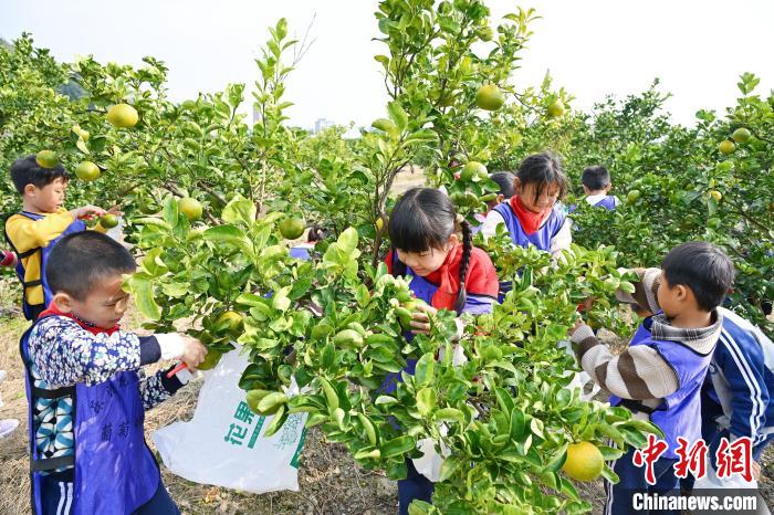 北塘村研学活动。刘言勇 摄