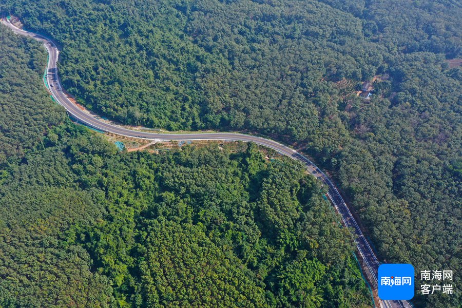 组图丨环热带雨林国家公园旅游公路通车 跟记者镜头欣赏最美风景海南省新浪财经新浪网 