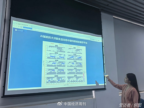 AI赋能的大洋鱿鱼渔场短中期预报模型运行结果 受访者|供图