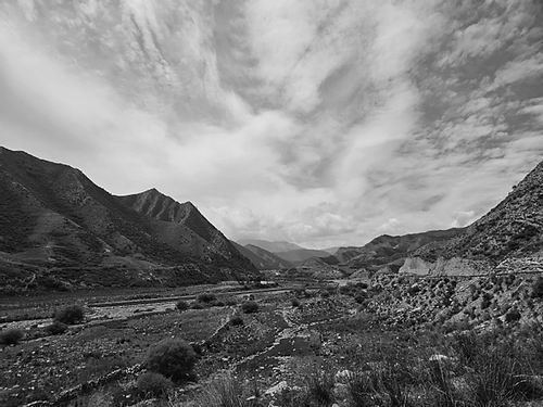 ▲冰沟河两岸的湿地。