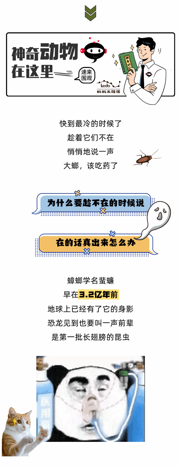 责任编辑：上方文Q