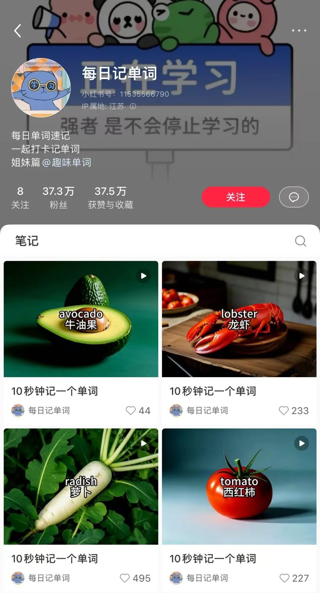 图｜小红书截图