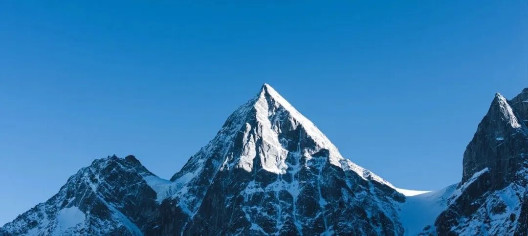 耗材挂网什么意思挂网耗材全面治理_https://www.jmylbn.com_新闻资讯_第1张