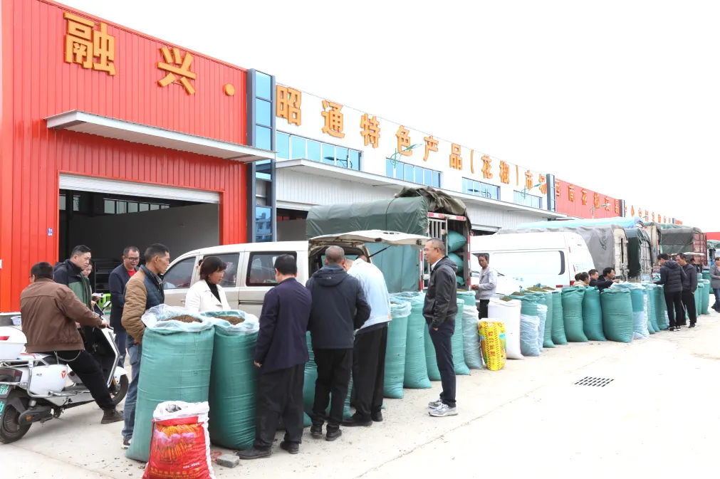 融兴·昭通特色产品（花椒）市场项目开市场景