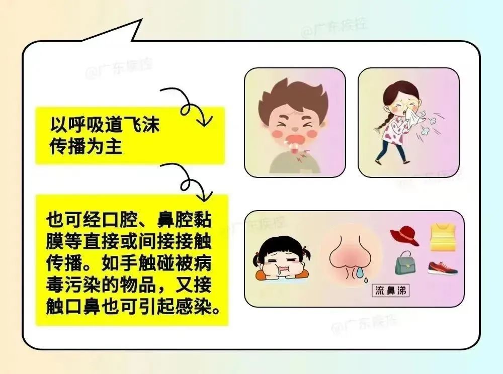 注意!流感已起峰|流感_新浪财经_新浪网