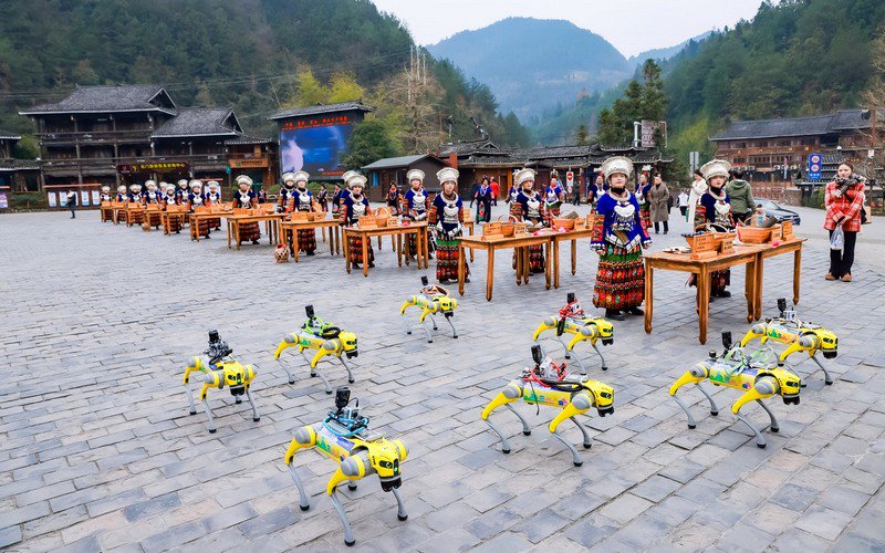 智能机器狗在西江千户苗寨开展技能表演。