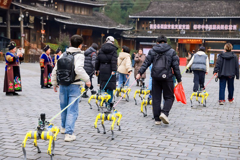 智能机器狗在西江千户苗寨开展技能表演。