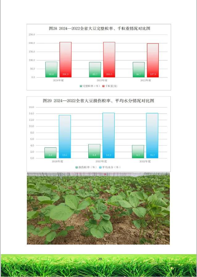 来源：黑龙江省粮食质量安全监测和技术中心