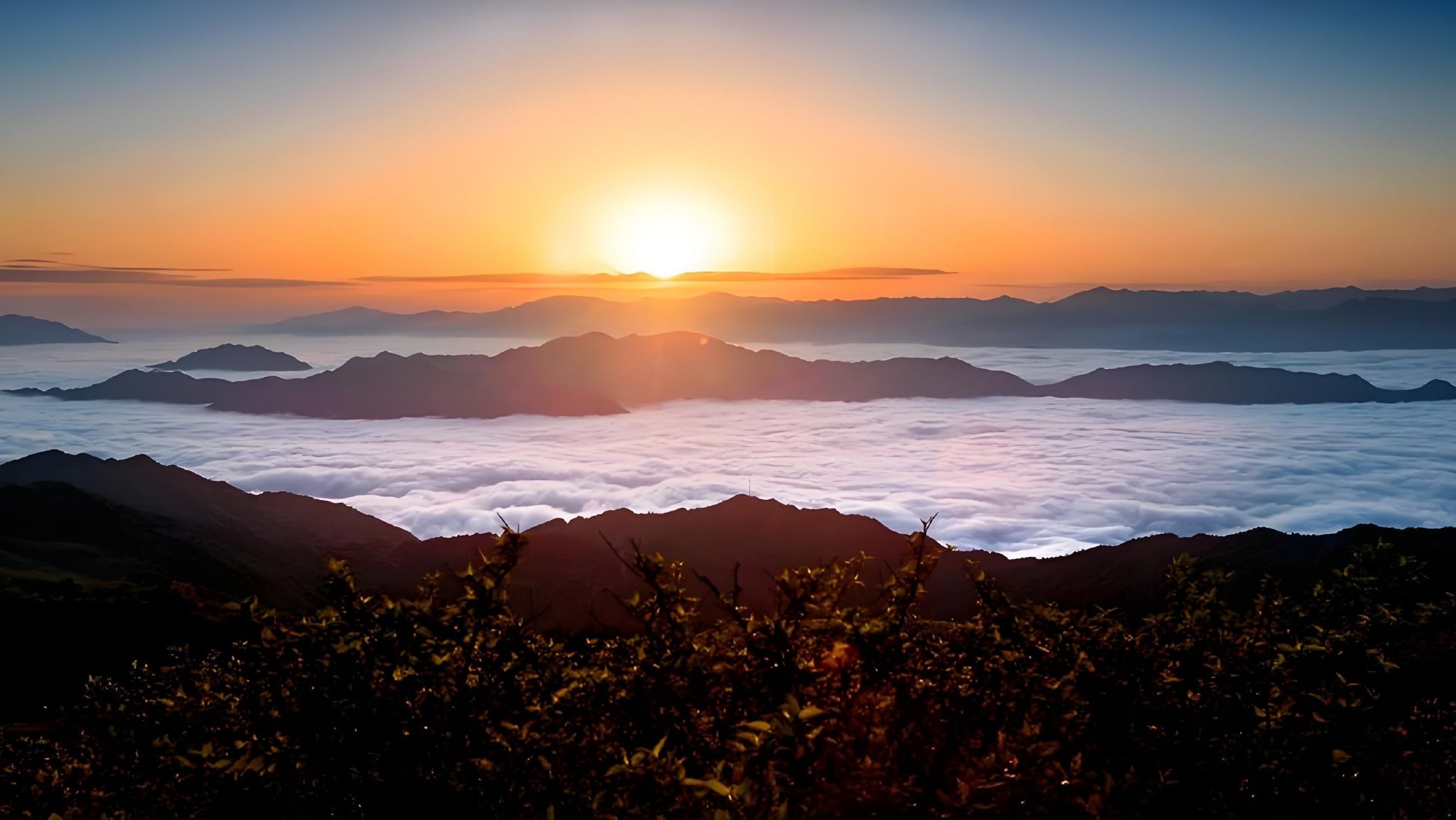 发表评论最少输入1个字取消 评论条评论分享