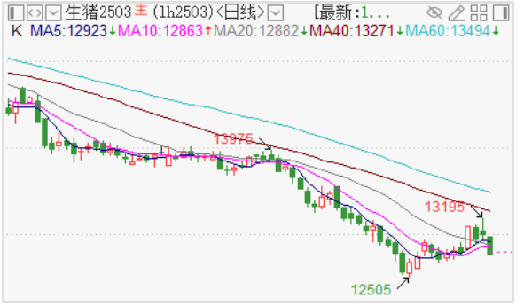 关联品种生猪所属公司：中衍期货