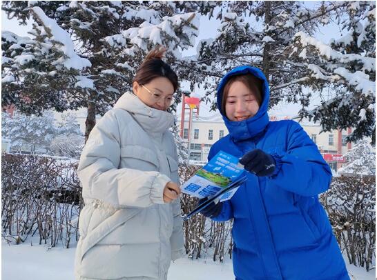 （图注：青山网格网格长李春香业务宣传工作照）