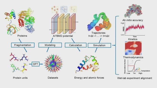 图丨AI2BMD技术流程图（来源：Nature）