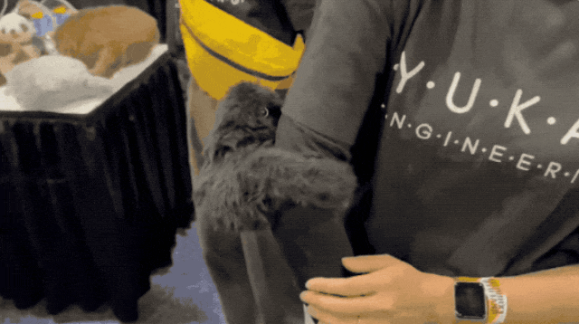 图片来源：X 账户 日テレR&Dラボ