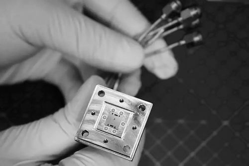 图片来源：Lovisa Hakansson