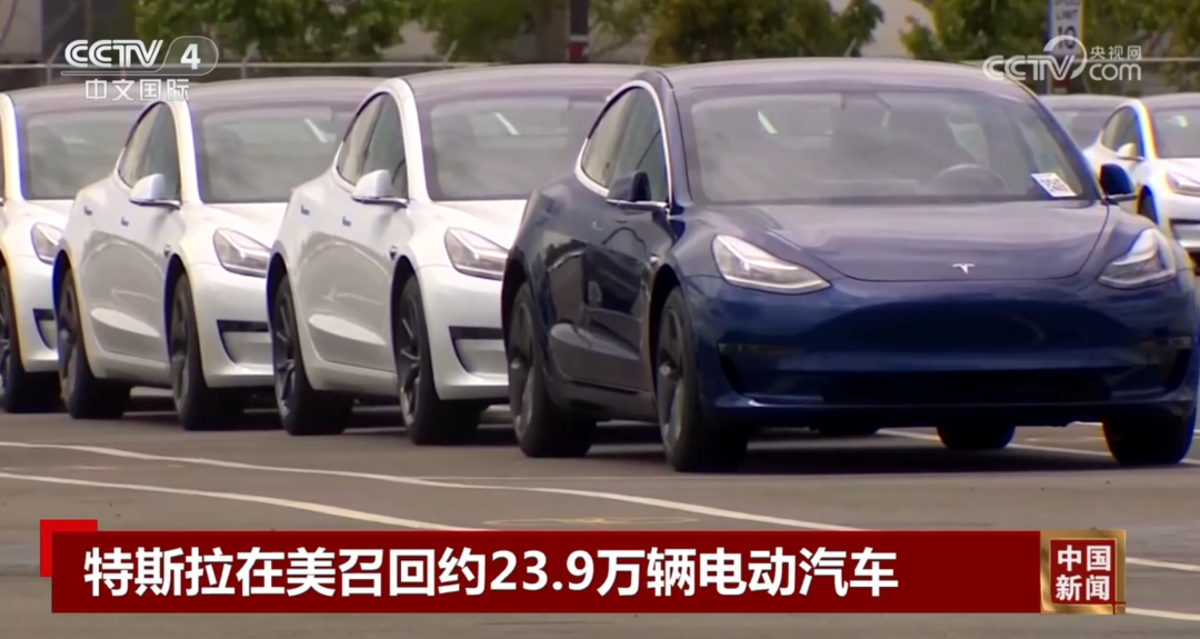 来源：央视网视频截图