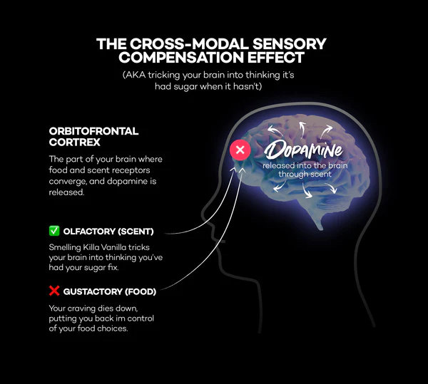 ▲ 嗅觉与味觉之间也有跨通道效应