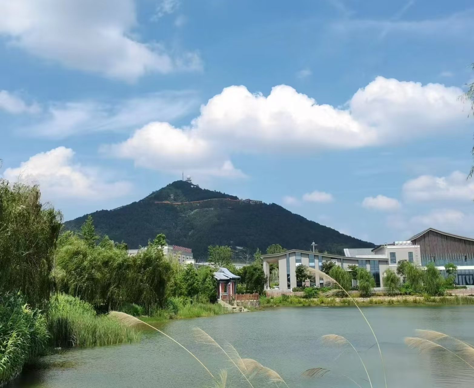 怀宁县黄墩镇:答好生态"四道题" 书写"绿色"新画卷