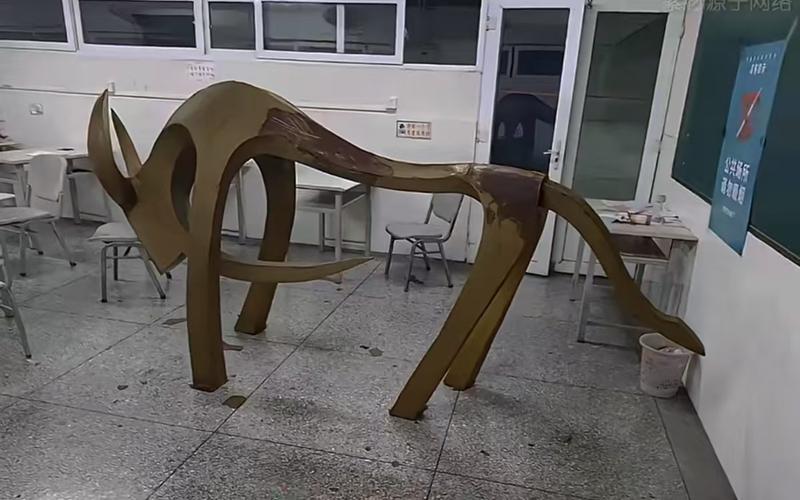 ▲四川农业大学的同学们经常把牛摆出各种造型，没事就去“搬牛”，已经成为一项学校传统。图/网络视频截图