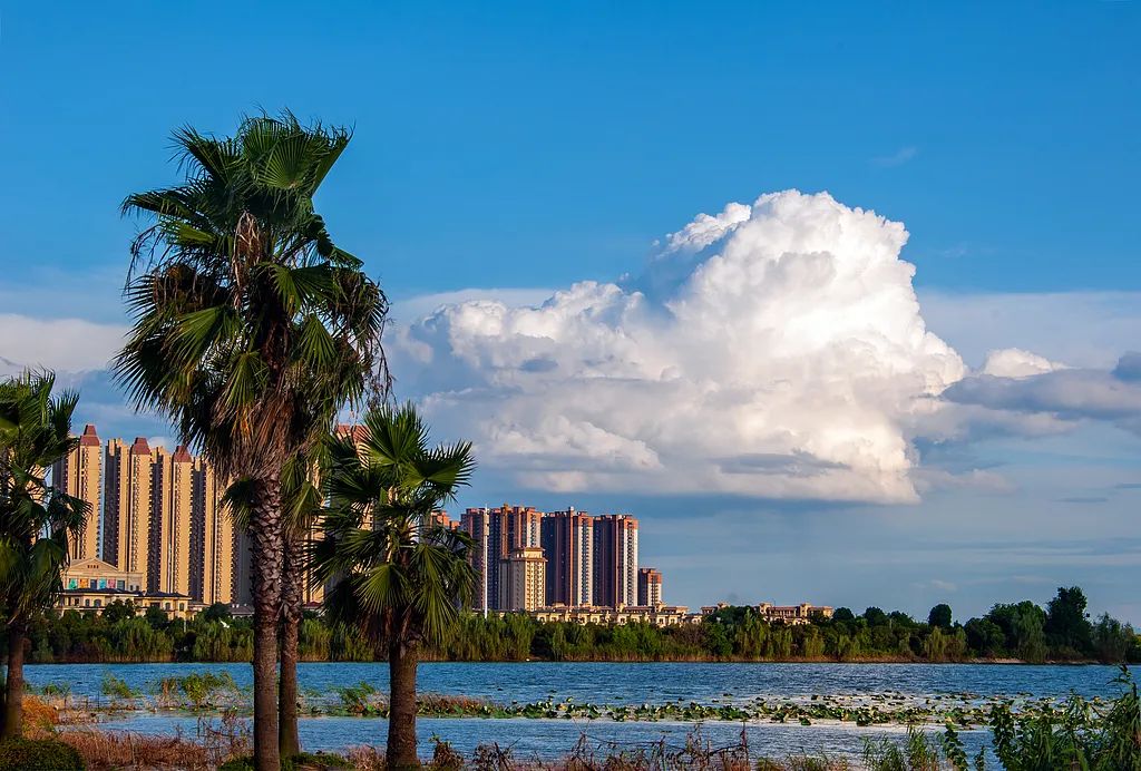 鄂州红莲湖景观 图/视觉中国