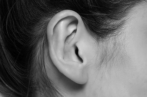 图片来源：VLADIMIR GJORGIEV