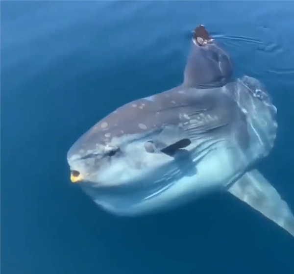 【本文结束】如需转载请务必注明出处：快科技责任编辑：落木文章内容举报