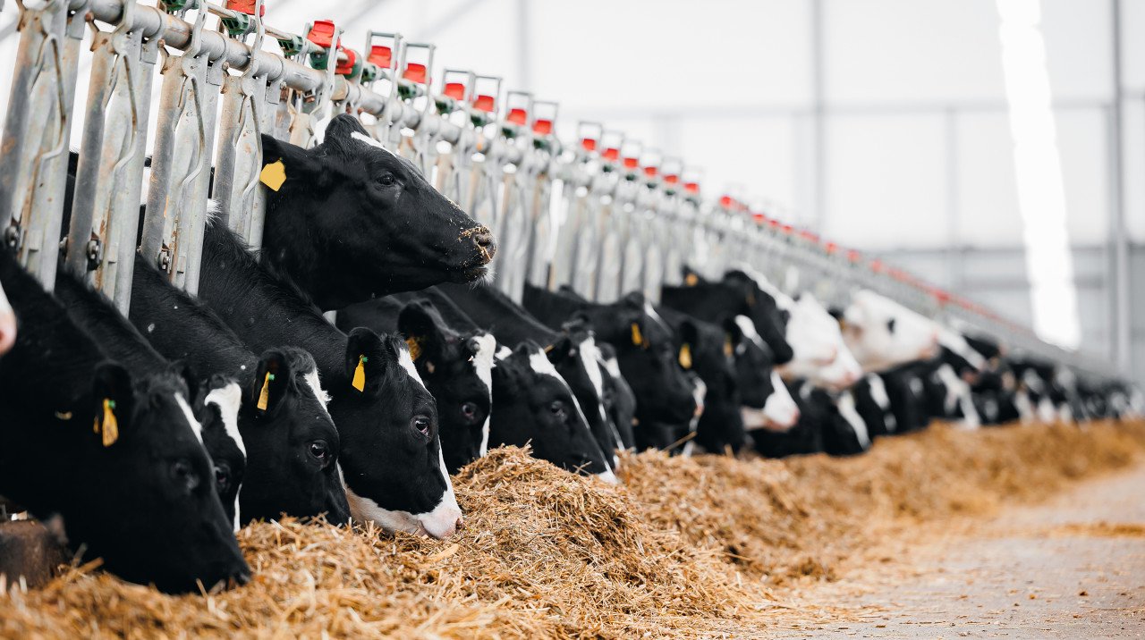 图片来源：图虫创意