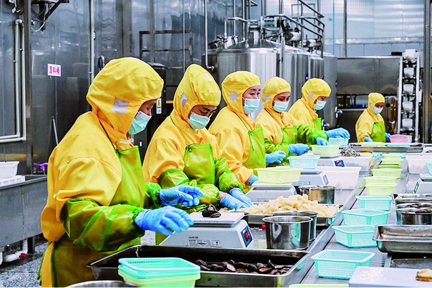 订单翻倍、产能冲刺25万吨！新和盛凭“一只鸡”撬动百亿产业链(图1)