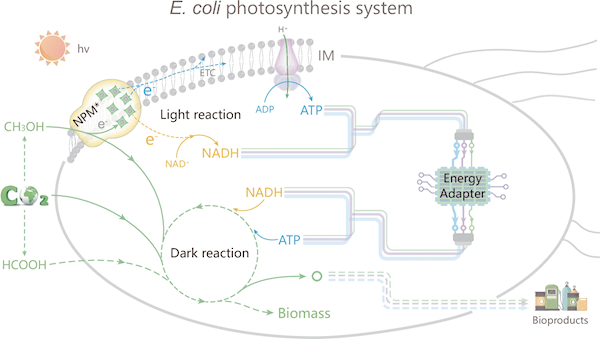 【本文结束】如需转载请务必注明出处：快科技责任编辑：随心文章内容举报