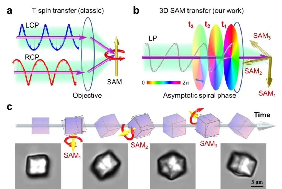 ▲ 图源中国科学技术大学先进技术研究院