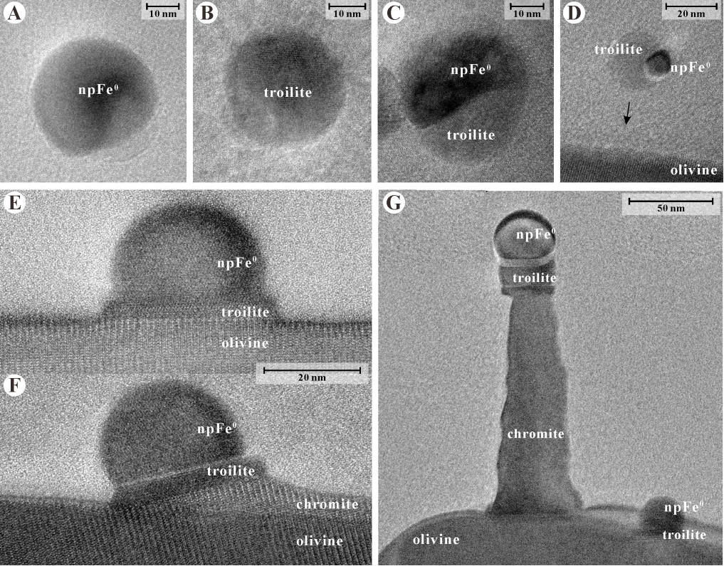 ▲ “蘑菇”生长结构示意图