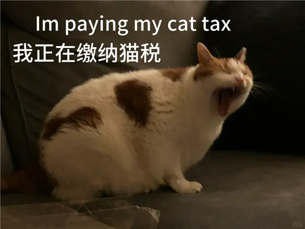 【来源：快科技】