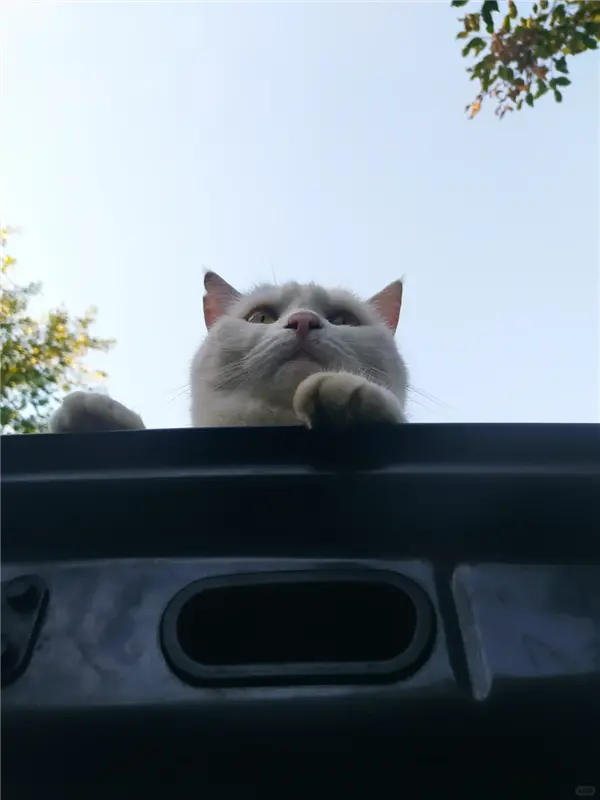 【来源：快科技】