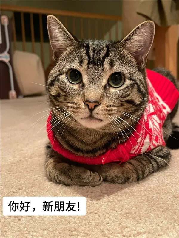 【来源：快科技】