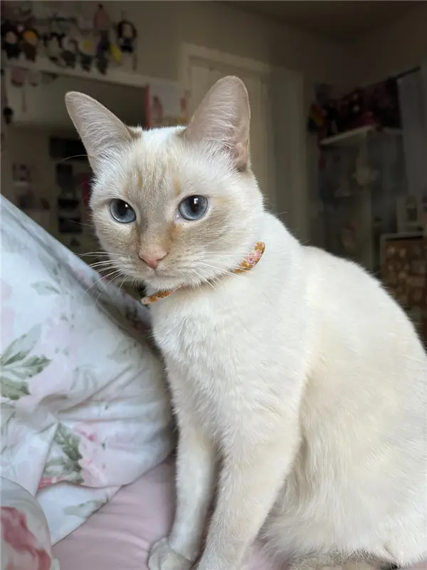 【来源：快科技】