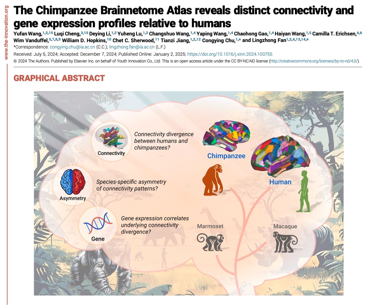 图 1. 研究工作的图文摘要
