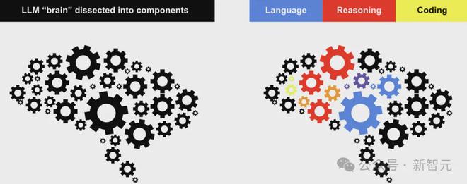 左图：使用SVD将LLM的「大脑」（即权重矩阵）分解为若干独立的组件。