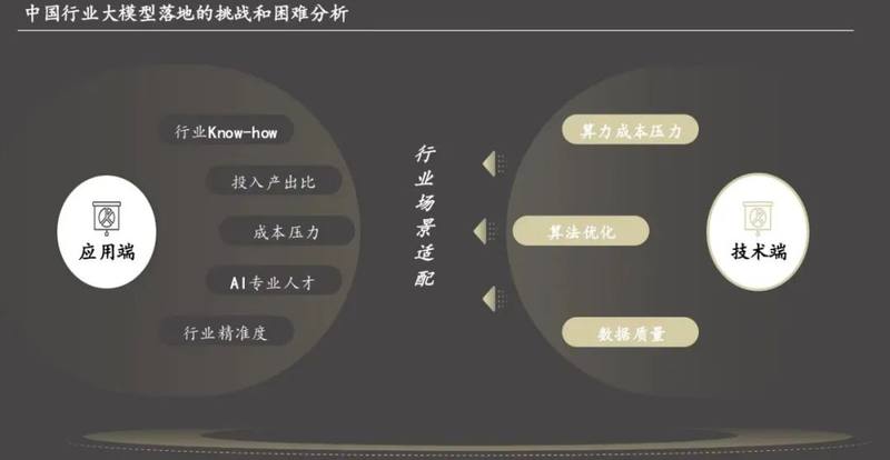 图源《2024 中国行业大模型市场报告》