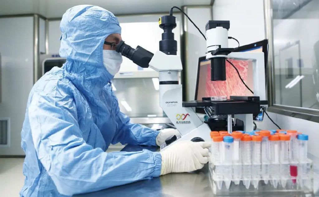 研发人员在进行药物研发。新华社记者 唐弢 摄