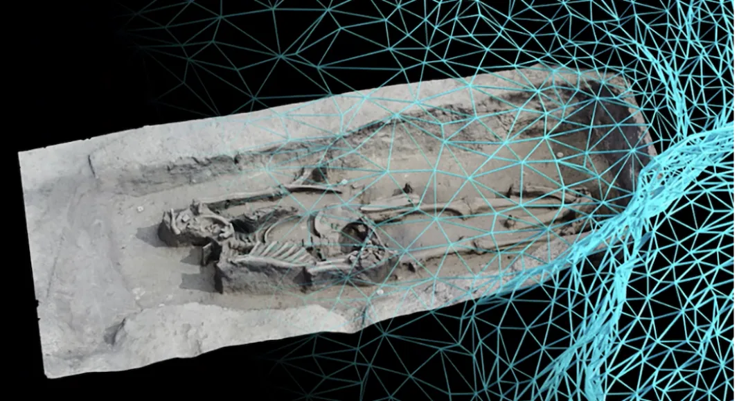 中世纪阿瓦尔百人家族墓葬3D示意（copyright@Walter Pohl）