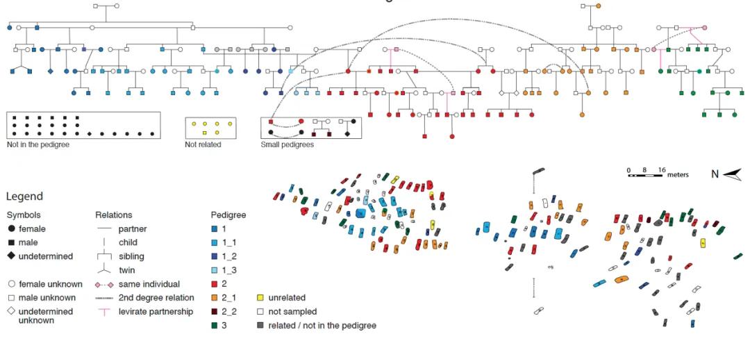 古代阿瓦尔东亚氏族家庭谱系树（上图）与墓葬分布图（下图）