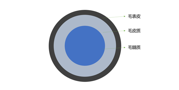 今日头条自媒体：澳门6合资料-你绝对想不到！烫头发和蒸馒头原理居然是一样  第2张