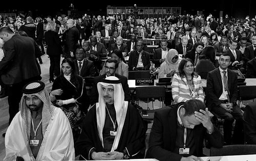 图片来源：Janek Skarzynski/AFP/Getty