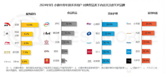 ▲小镇中青年在拼多多平台的各类目关注TOP品牌（来自报告）
