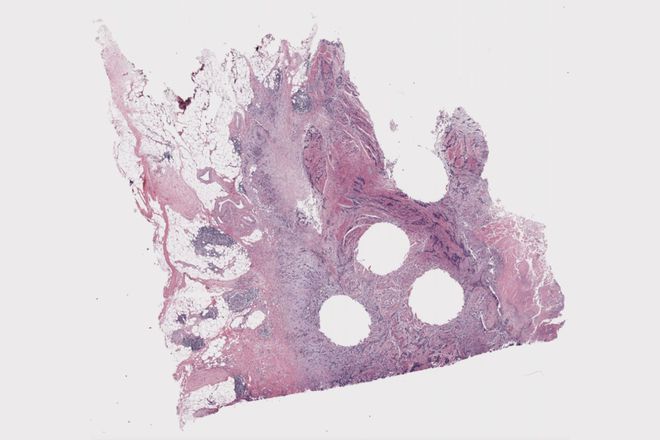 （来源：MITTechnologyReview）