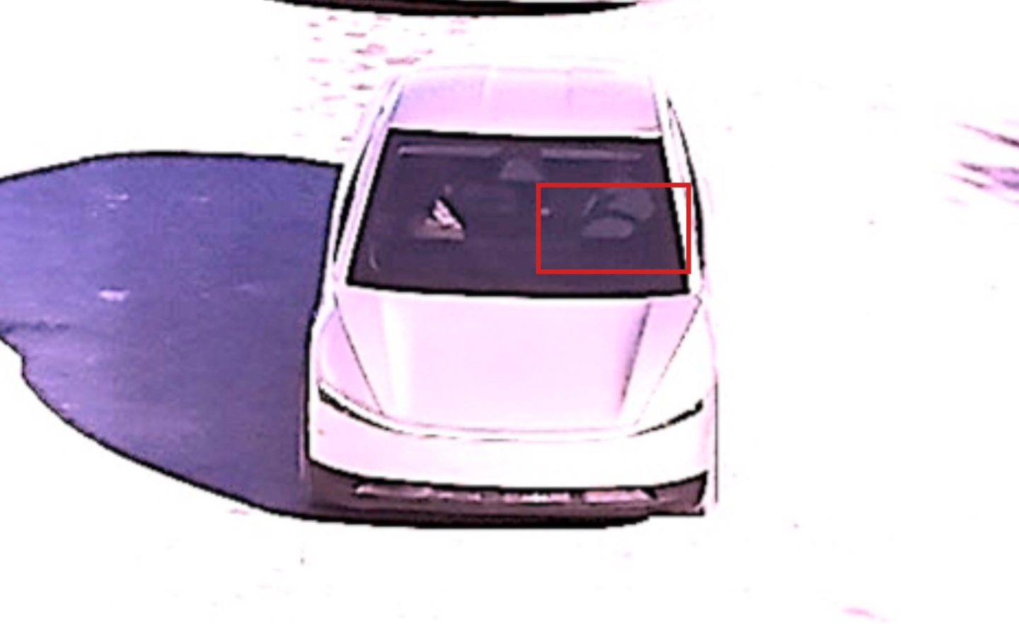 ▲ 相应图片放大增强对比度后