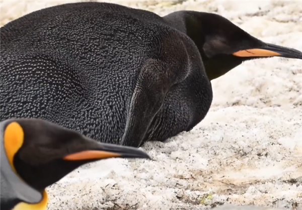 【本文结束】如需转载请务必注明出处：快科技责任编辑：落木文章内容举报