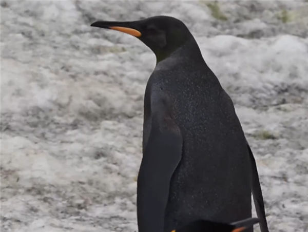 【本文结束】如需转载请务必注明出处：快科技责任编辑：落木文章内容举报