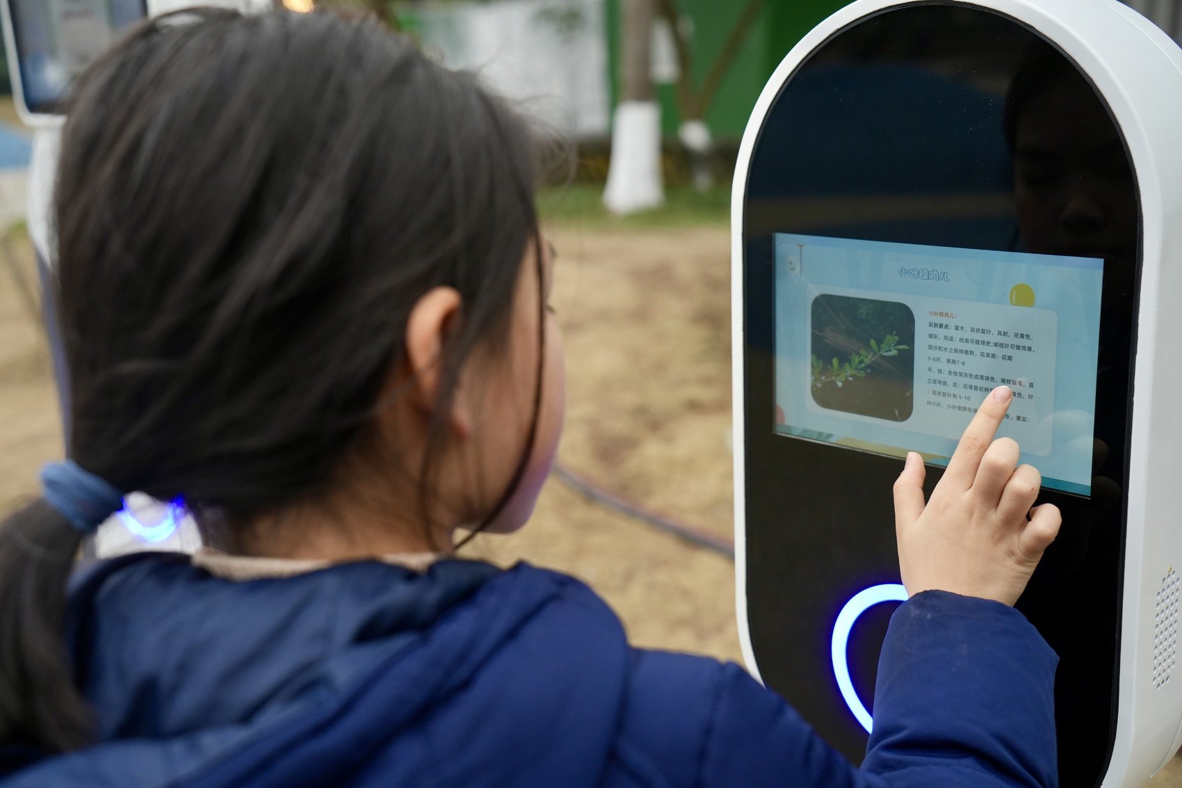 AI人与植物对话